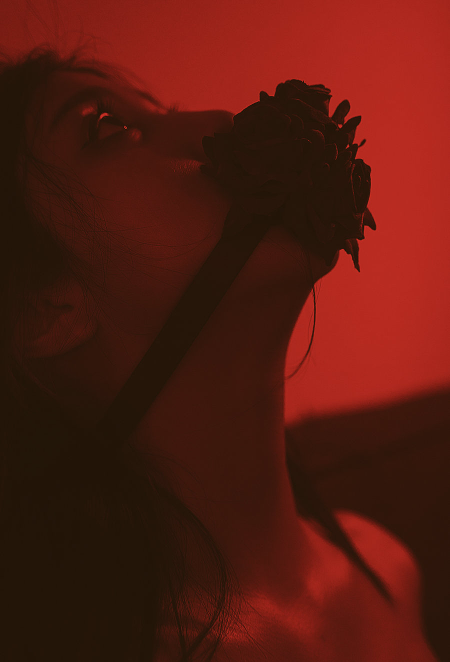 Cazi姬纪福利 - 玫瑰束 [24P-246MB]