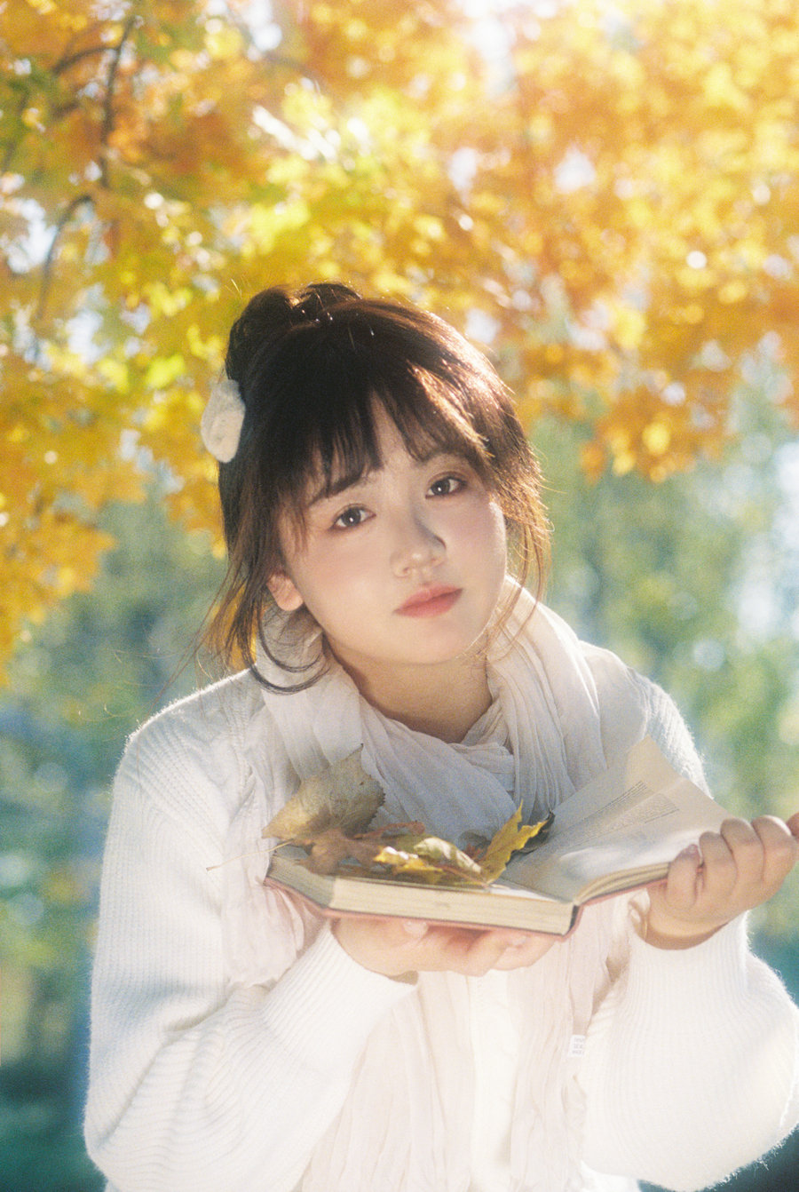 [YITUYU]艺图语 2025.11.05 在这个落叶像雪的季节 。[11P-111MB]