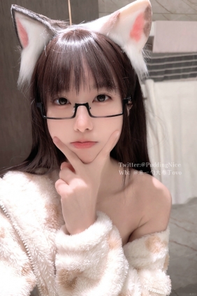 布丁大法 - 芝士猫 [40P2V-269MB]