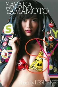 [PB写真集] Sayaka Yamamoto 山本彩 SY [147P]