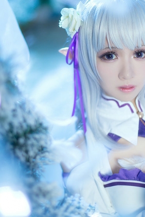 《Re：从零开始的异世界生活》艾米莉娅 Cos [15P-24MB]